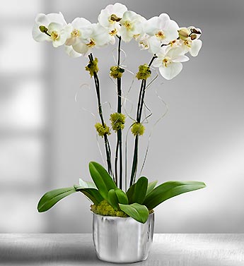Do You Give Gifts to Your Clients?